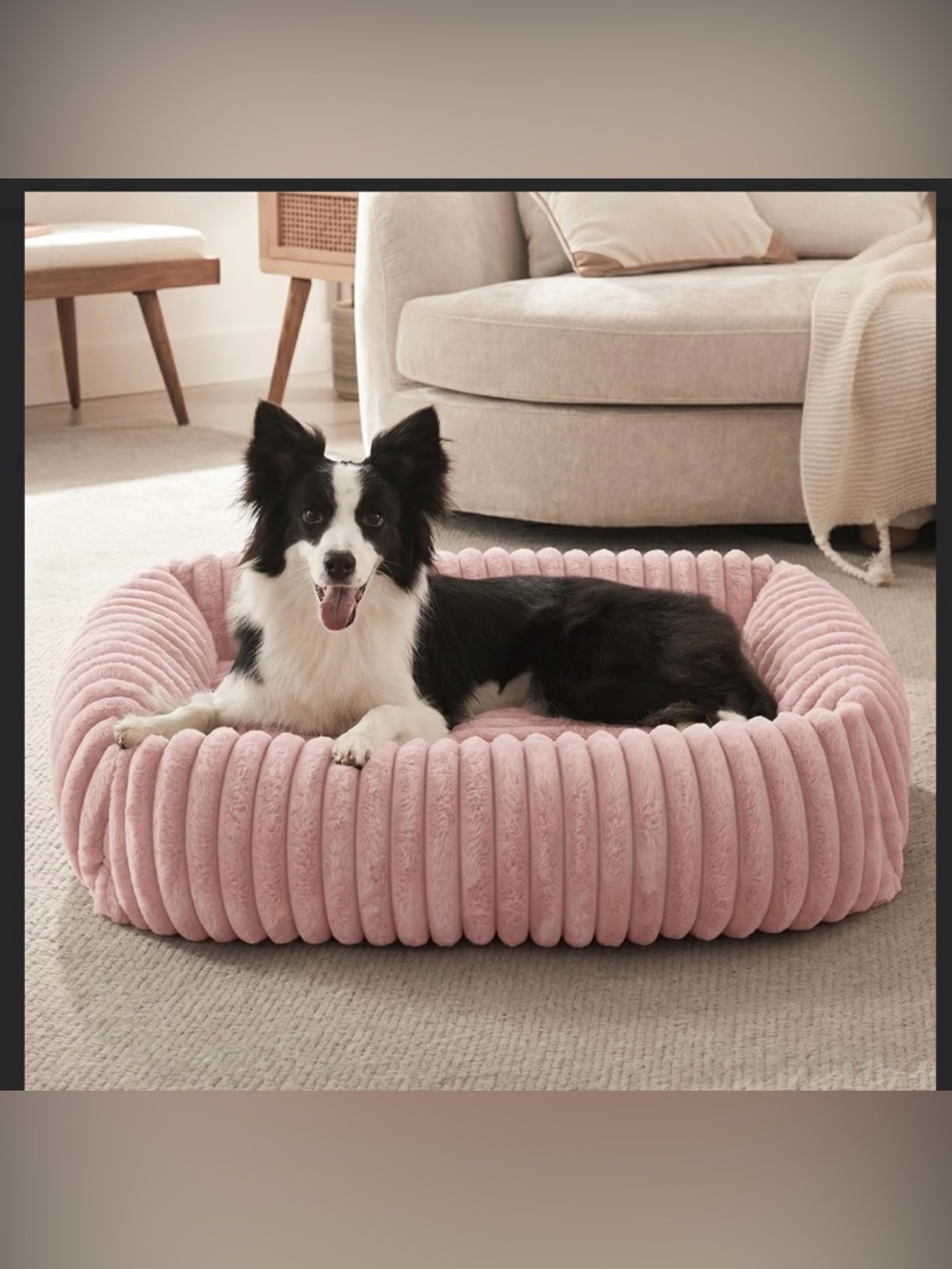 FURTIME Dog Bed for Small Medium Dog, Washable Orthopedic Pet Bed with